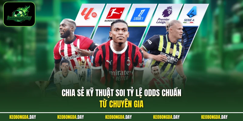 Chia sẻ kỹ thuật soi tỷ lệ Odds chuẩn từ chuyên gia