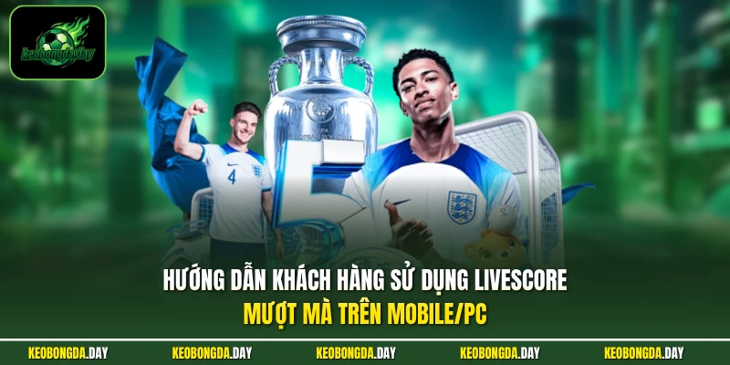Hướng dẫn khách hàng sử dụng Livescore mượt mà trên Mobile/PC