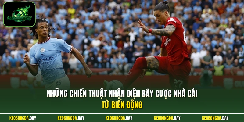 Những chiến thuật nhận diện bẫy cược nhà cái từ biến động